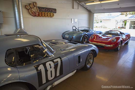 shelby collection